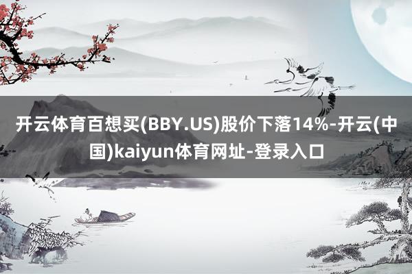 开云体育百想买(BBY.US)股价下落14%-开云(中国)kaiyun体育网址-登录入口