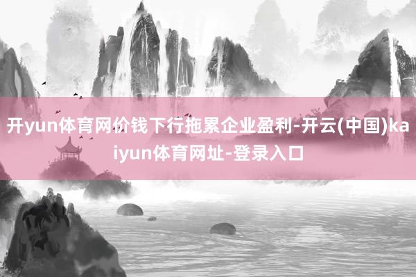 开yun体育网价钱下行拖累企业盈利-开云(中国)kaiyun体育网址-登录入口