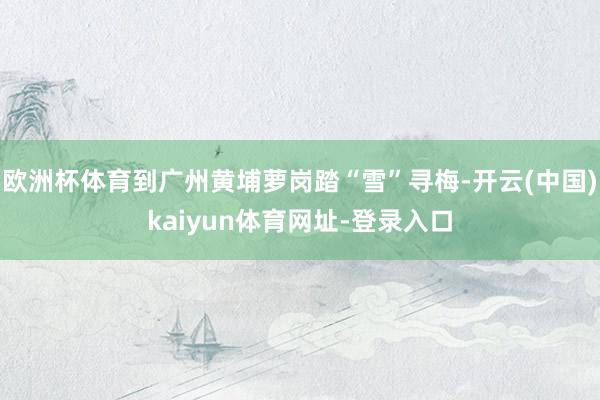 欧洲杯体育到广州黄埔萝岗踏“雪”寻梅-开云(中国)kaiyun体育网址-登录入口
