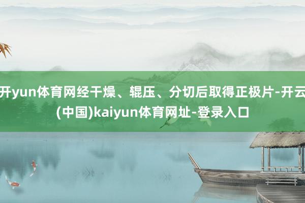 开yun体育网经干燥、辊压、分切后取得正极片-开云(中国)kaiyun体育网址-登录入口